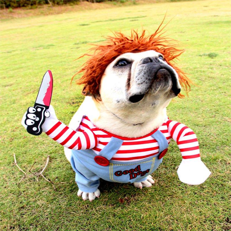 Dogs Chucky Halloween Costume